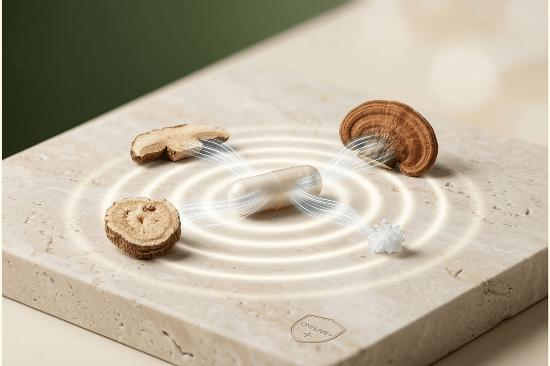 Gut-brain connection: 5 evidence-based ingredients that help stress, calm, and sleep - ONELIVE+