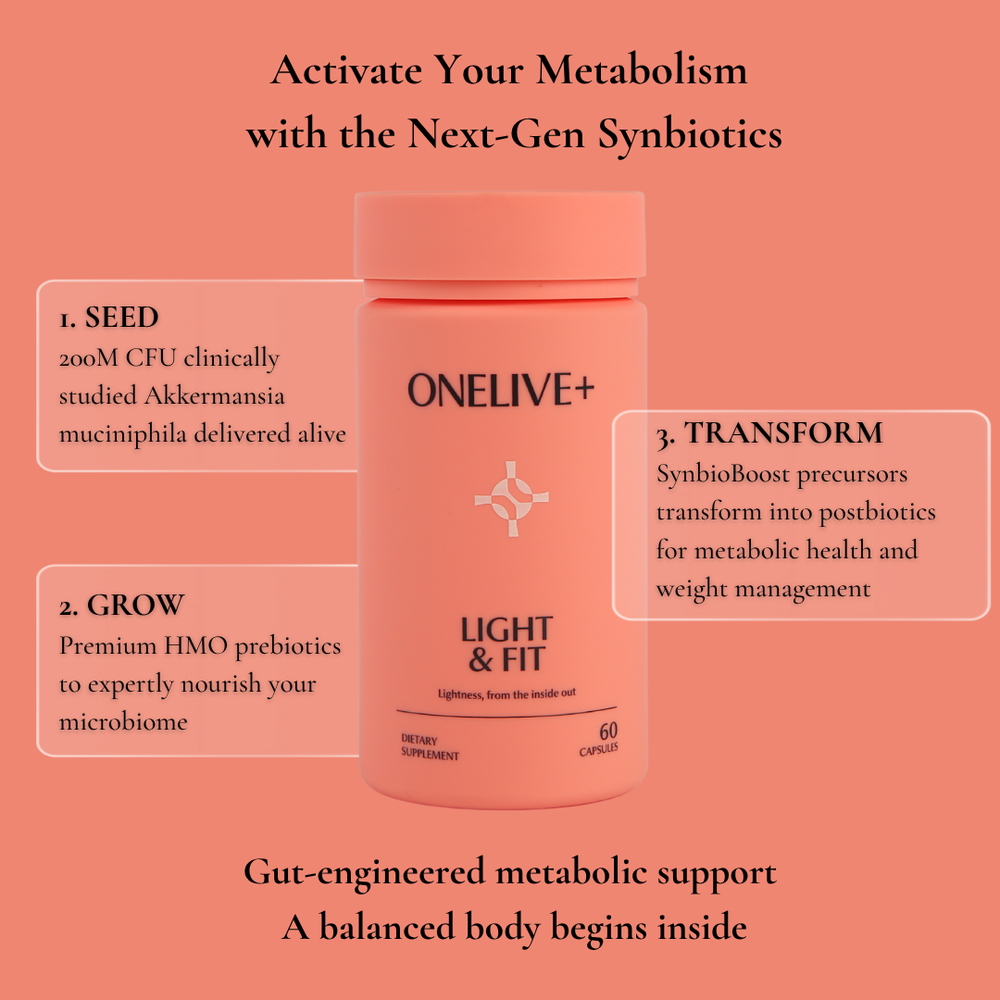Light & Fit