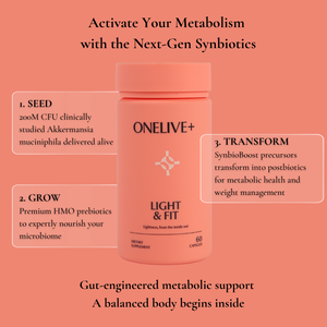 Light & Fit