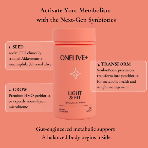 Light & Fit