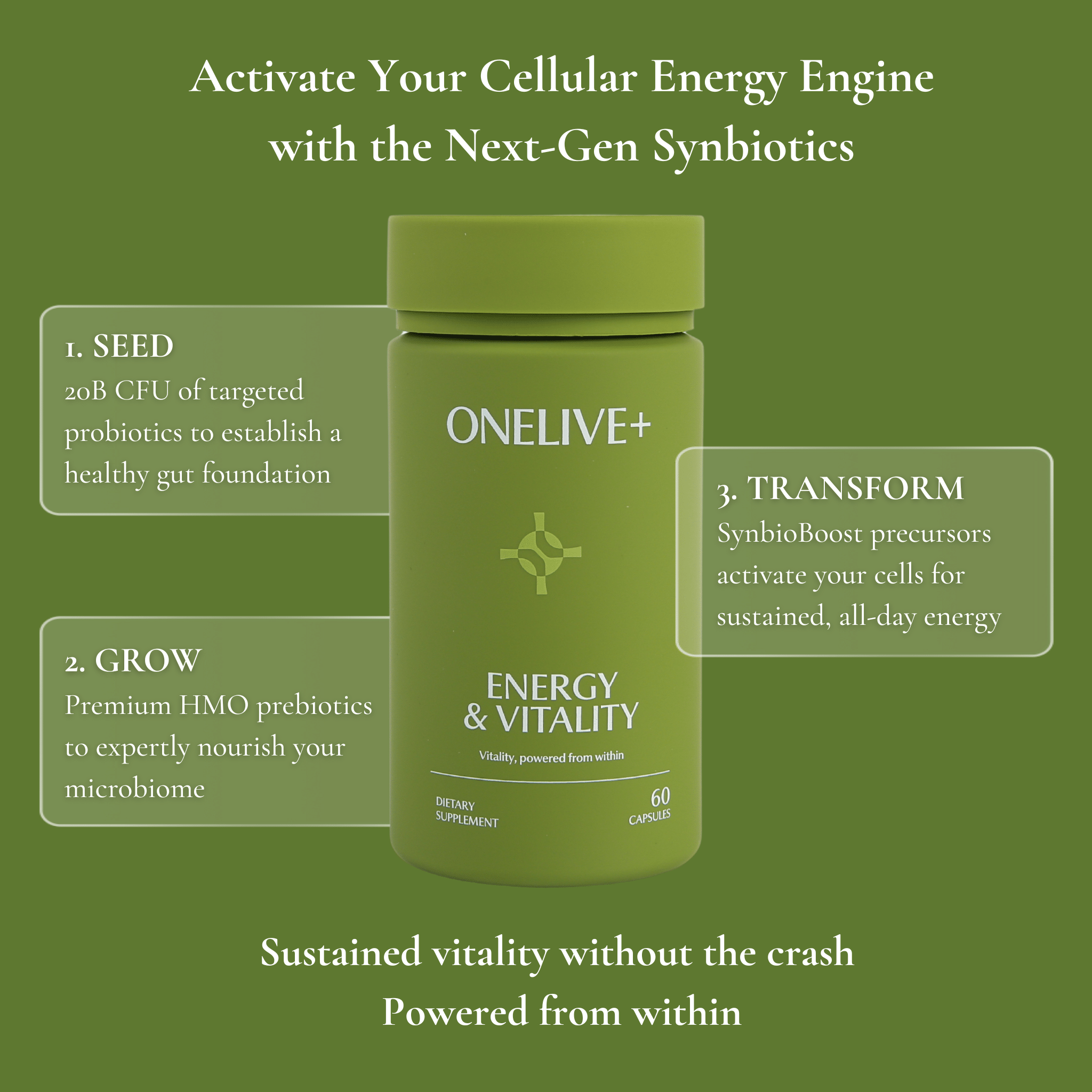 Energy & Vitality - ONELIVE+